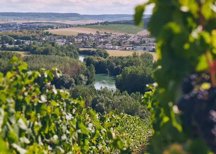 Appartement Petille En Champagne - 1 - Terrasse