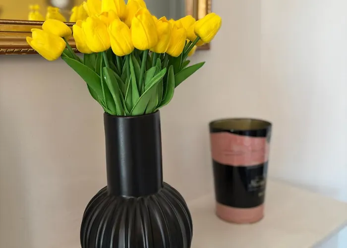 Appartement Petille En Champagne - 1 - Terrasse *